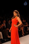 Bolly Celebs Walks the Ramp at IIJW 2014 - 42 of 131