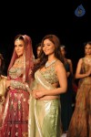 Bolly Celebs Walks the Ramp at IIJW 2014 - 59 of 131