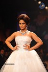 Bolly Celebs Walks the Ramp at IIJW 2014 Grand Finale - 64 of 114