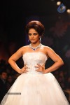 Bolly Celebs Walks the Ramp at IIJW 2014 Grand Finale - 68 of 114