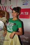 Bolly Celebs Walks the Ramp at LFW Day 4 - 32 of 134