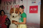 Bolly Celebs Walks the Ramp at LFW Day 4 - 36 of 134