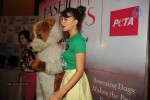 Bolly Celebs Walks the Ramp at LFW Day 4 - 37 of 134