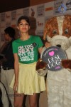 Bolly Celebs Walks the Ramp at LFW Day 4 - 47 of 134