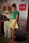 Bolly Celebs Walks the Ramp at LFW Day 4 - 89 of 134