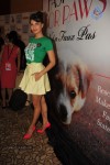 Bolly Celebs Walks the Ramp at LFW Day 4 - 93 of 134