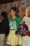 Bolly Celebs Walks the Ramp at LFW Day 4 - 113 of 134