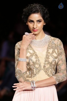 Bollywood Celebrities at IIJW 2015 Show - 48 of 90