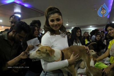 Bollywood Celebrities At Pet Adoptathon 2017 - 4 of 12