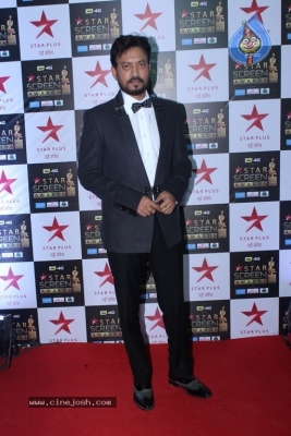 Bollywood Celebrities At Star Screen Awards 2017 - 22 of 33
