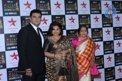 Bollywood Celebrities At Star Screen Awards 2017 - 27 of 33