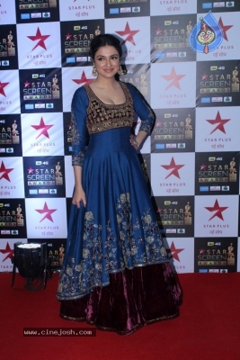 Bollywood Celebrities At Star Screen Awards 2017 - 31 of 33