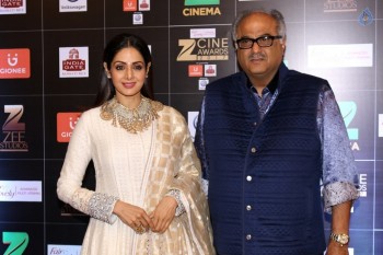 Bollywood Celebrities at Zee Cine Awards Red Carpet - 29 of 92