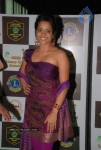 Bollywood Celebs At 16th Lions Gold Awards Function - 40 of 70