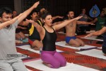 Bollywood Celebs Celebrates International Yoga Day - 8 of 76
