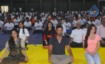Bollywood Celebs Celebrates International Yoga Day - 14 of 76
