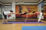 Bollywood Celebs Celebrates International Yoga Day - 48 of 76