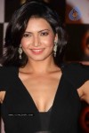 Bollywood Stars at Big IMA Awards - 88 of 96