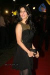 Bollywood Stars At Dulha Mil Gaya Premiere Show - 59 of 78