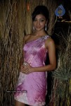Bollywood Stars walk The Ramp For Archana Kochhar  - 9 of 49