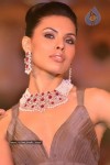 Bollywood Top Models at Rose Fashion Show - 22 of 154