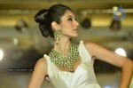 Bollywood Top Models at Rose Fashion Show - 111 of 154