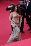 Cannes Film Festival 2014 Red Carpet - 17 of 64