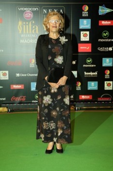 Celebrities at 17th Nexa IIFA Awards - 67 of 81