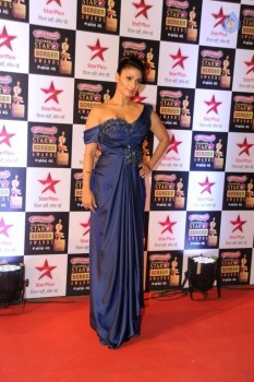 Celebrities at 22nd Annual Star Screen Awards - 60 of 82