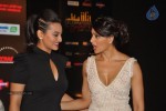 Celebrities at IIFA 2012 Press Meet  - 14 of 55