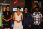 Celebrities at IIFA 2012 Press Meet  - 19 of 55