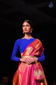 Celebrities at IIJW 2015 Show - 53 of 102