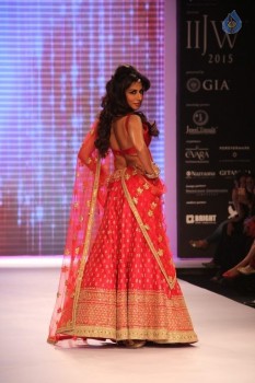 Celebrities at IIJW 2015 Show - 76 of 102