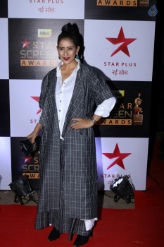 Celebrities at Star Screen Awards 2016 Event 1 - 64 of 71