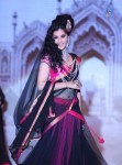 Celebrities Ramp Walk At IIJW 2013 - 18 of 90