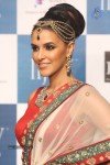 Celebrities Ramp Walk At IIJW 2013 - 24 of 90