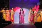 Celebrities Ramp Walk At IIJW 2013 - 81 of 90