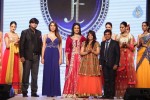 Celebrities Ramp Walk At IIJW 2013 - 84 of 90