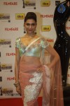 Celebs at 57th Idea Filmfare Awards 2011 - 120 of 137