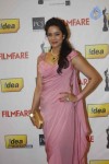 Celebs at 57th Idea Filmfare Awards 2011 - 80 of 137