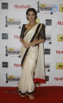 Celebs at 57th Idea Filmfare Awards 2011 - 86 of 137