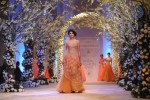 Celebs at Aamby Valley India Bridal Fashion Week - 59 of 96
