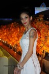 Celebs at Afsaane Sartaaj De Album Launch - 11 of 44