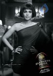 Celebs at Blenders Pride Fashion Tour 2011 Preview - 14 of 20