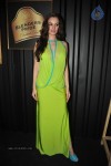 Celebs at BP Fashion Tour 2013 - 22 of 32