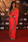 Celebs at Colors Golden Petal Awards 2012 - 64 of 86