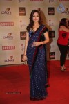 Celebs at Colors Screen Awards 2012 - 152 of 241