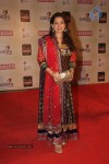 Celebs at Colors Screen Awards 2012 - 183 of 241