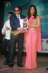 Celebs at Dadasaheb Phalke Academy Awards - 48 of 126