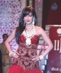 Celebs at IIJW 2013 Finale - 3 of 66